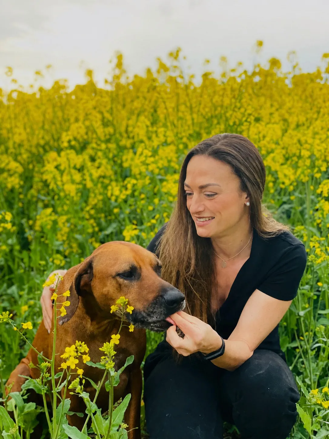 Selin mit Morpheus im blühenden Rapsfeld